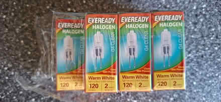 Photo of free G4 bulbs (Berkhamsted HP4) #1