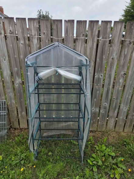 Photo of free 5ft shelved mini greenhouse with cover (Strandtown BT4) #1