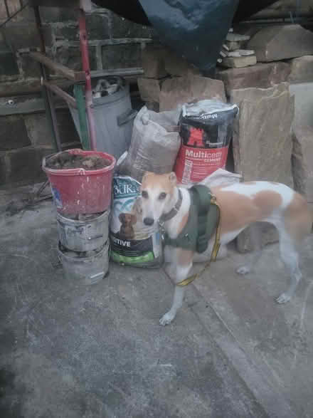 Photo of free Bags of top soil / hardcore (Harrogate HG1) #1