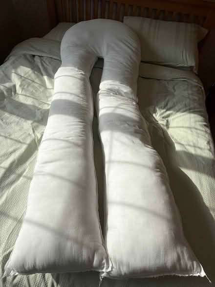 Photo of free Full body pillow (Queslett B44) #1