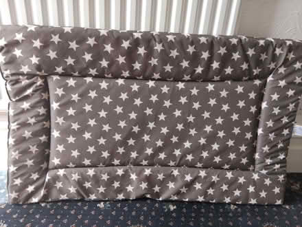 Photo of free Dog mat (Burley LS4) #1
