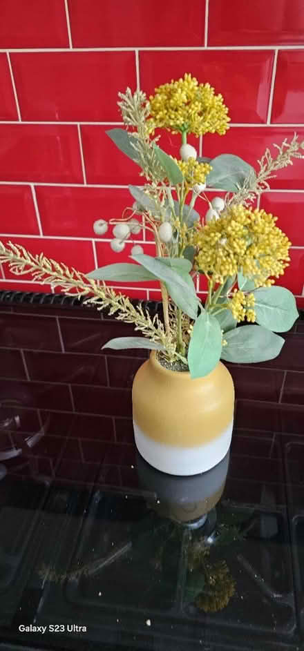 Photo of free Plant (Hastings TN38) #2