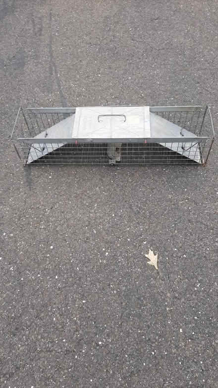 Photo of free Havahart trap (In Naugatuck, Ct.) #1