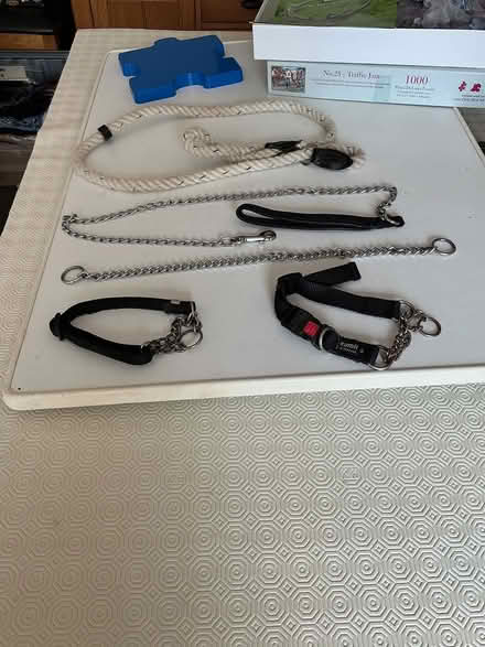 Photo of free Dog accessories (Spondon DE21) #1
