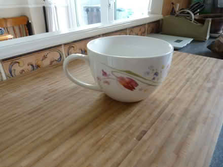 Photo of free China Floral Cup (Thorney Leys OX28) #2