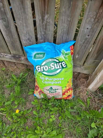 Photo of free bag of compost (Strandtown BT4) #1