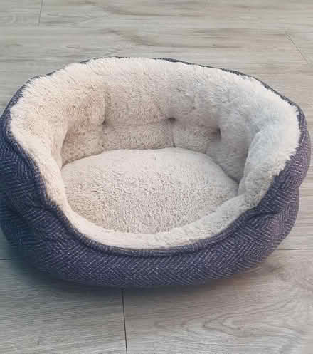 Photo of free Cat bed, litter tray, litter mat (Jersey Farm AL4) #1