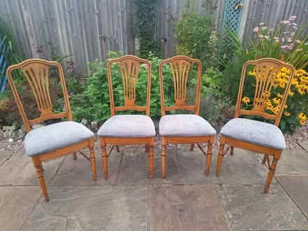 Photo of free 4 dining chairs (Netherfield, Kendal LA9) #1