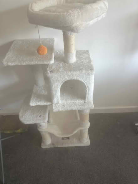 Photo of free Cat tower (Colchester Essex) #1