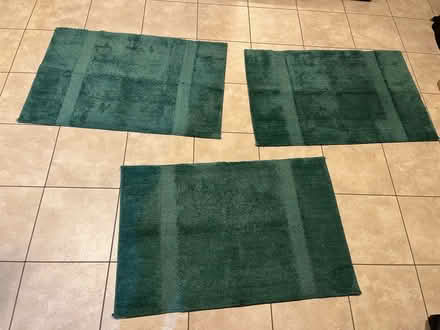 Photo of free 3 Bath Mats - Teal (North Shore / below Troy Hill) #1