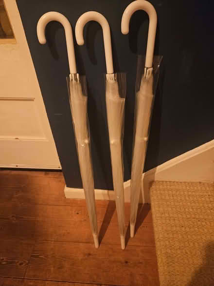 Photo of free 3 magic umbrellas (St Just TR19) #1