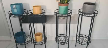 Photo of free House Plants & Stands (Kingsnorth TN25) #1