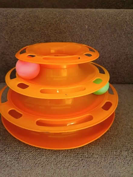 Photo of free Cat toy (Haywood RG12) #1