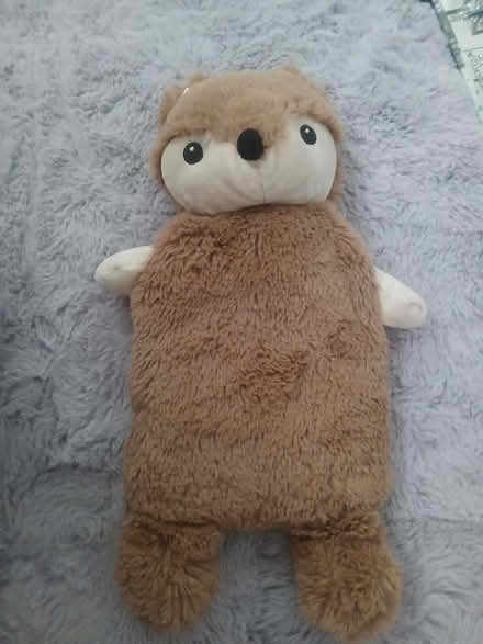 Photo of free fox hot water bottle (RG6 Lower Earley) #1