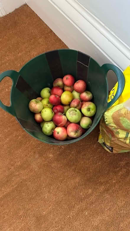 Photo of free Apples (Lexden CO3) #1