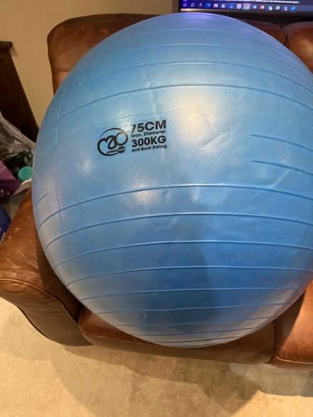 Photo of free large quality balance ball (Gorgie EH11) #1