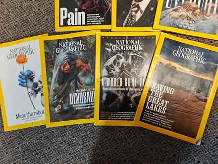 Photo of free 10 National Geographic Issues (paisley and imperial) #4