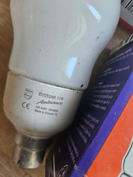 Photo of free Light Bulbs (Radford Semele CV31) #3