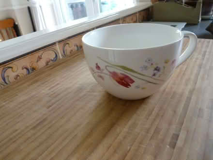 Photo of free China Floral Cup (Thorney Leys OX28) #1