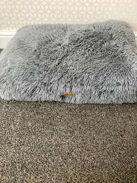 Photo of free Dog bed (Beaumont LA1) #1