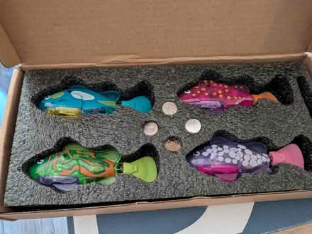 Photo of free Robot Fish Cat/Dog Toy (4 Pack) (Bracknell RG12) #1