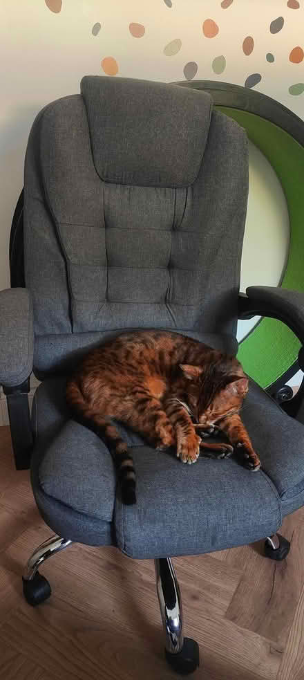 Photo of free Office chair (Forrest Hill SE23) #3