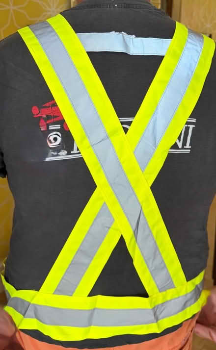 Photo of free Hi-viz Harness (Cliftonville CT9) #2
