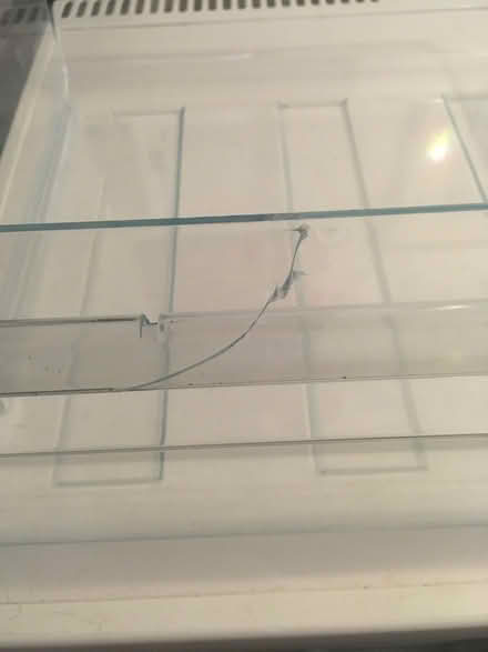 Photo of free Under counter freezer (Hailsham BN27) #3