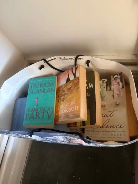 Photo of free 2 bags of assorted books (Edenbridge TN8) #1