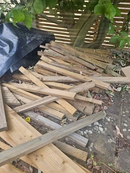 Photo of free outdoor timber (Bromham MK43) #1