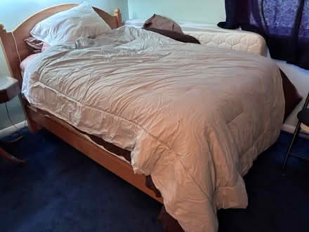 Photo of free Full size comforter (Broomall - Lawrence Park area) #1