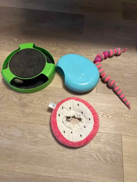Photo of free Cat toys (Atwater) #1