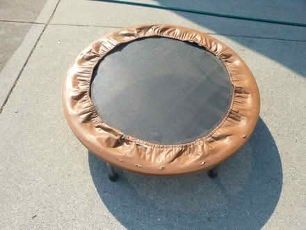Photo of free Rebounder (Eerett near Forest Park) #1