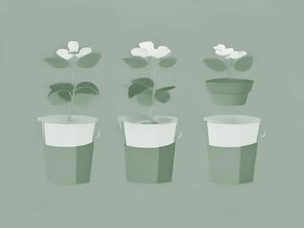 Photo of free Set of 8 flower pots (Goldenacre EH3) #1