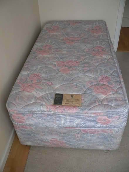 Photo of free Single Bed (Axminster EX13) #2