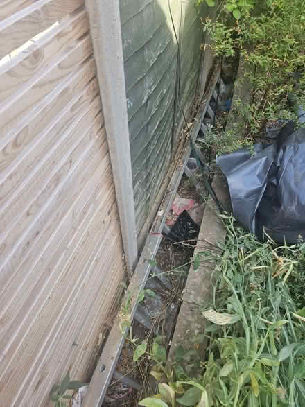 Photo of free Ladder (Bromham MK43) #2