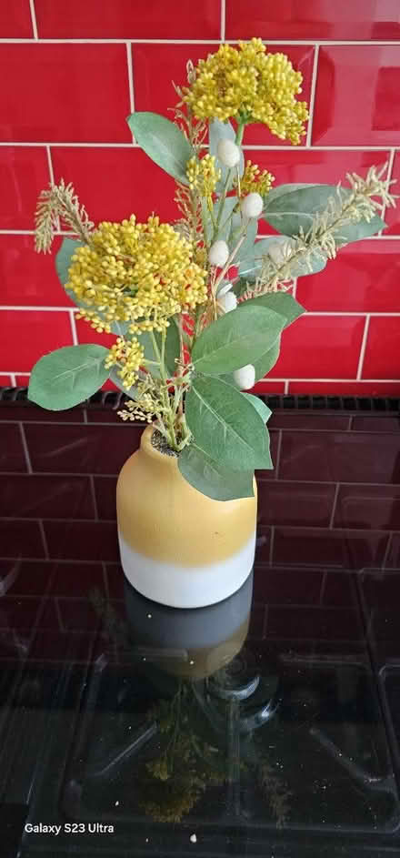 Photo of free Plant (Hastings TN38) #1