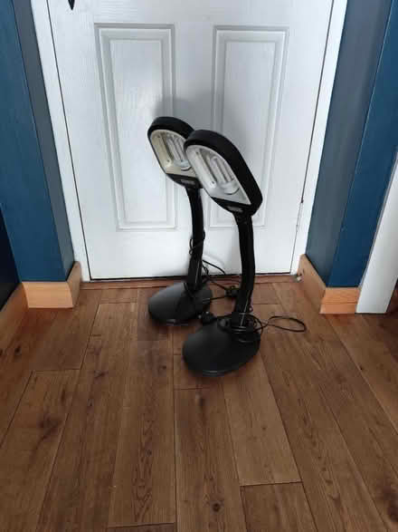 Photo of free 2 lamps (Tonbridge TN10) #1