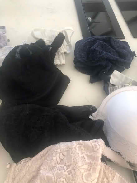 Photo of free Bras 34F (Ware SG12) #2