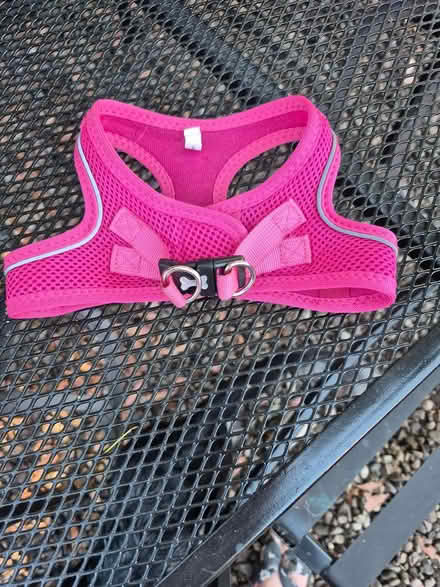 Photo of free Dog harness (NR4) #1