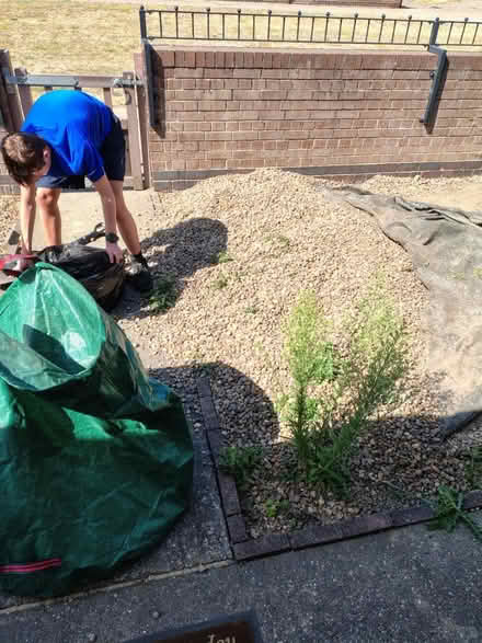 Photo of free Loads of Garden Pebbles (Stainforth DN7) #1