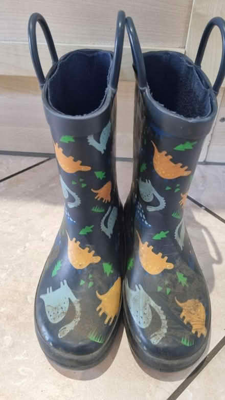 Photo of free Kids dinosaurs wellies UK11 (Biggleswade SG18) #1