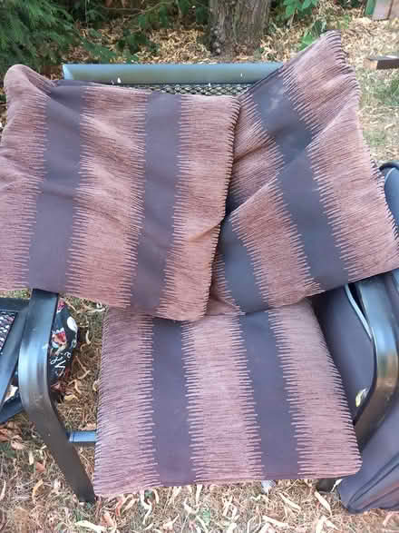 Photo of free Cushions (Blunham) #2