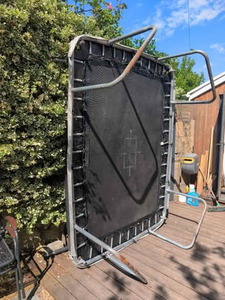 Photo of free Compact trampoline (Bear Flat BA2) #3