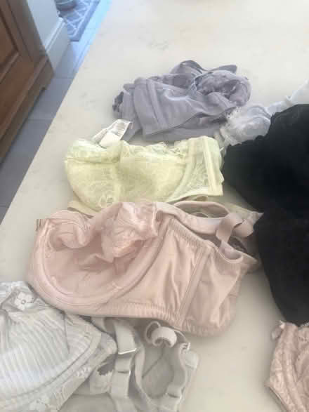 Photo of free Bras 34F (Ware SG12) #4