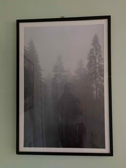 Photo of free Framed Misty Forest Print 70x100cm (Bracknell RG12) #1