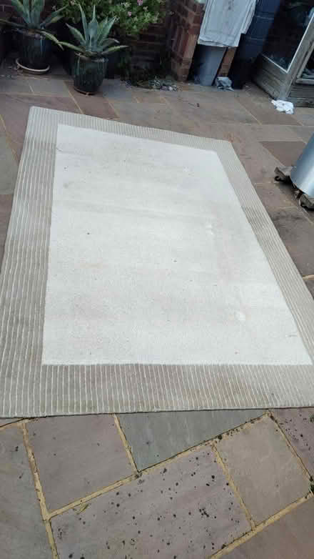 Photo of free Wool rug in good condition (Hastings TN34) #1