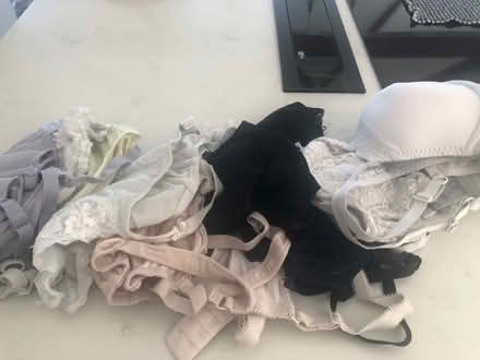 Photo of free Bras 34F (Ware SG12) #1