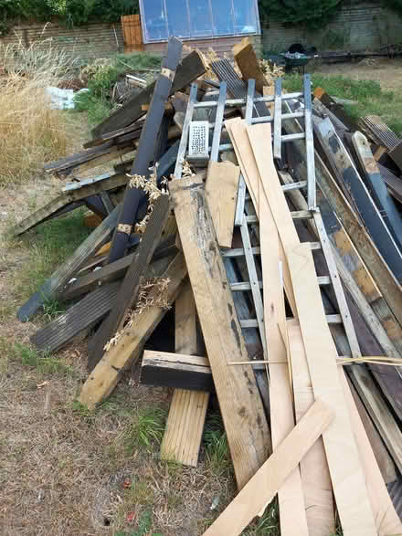 Photo of free Wood (Blunham) #2