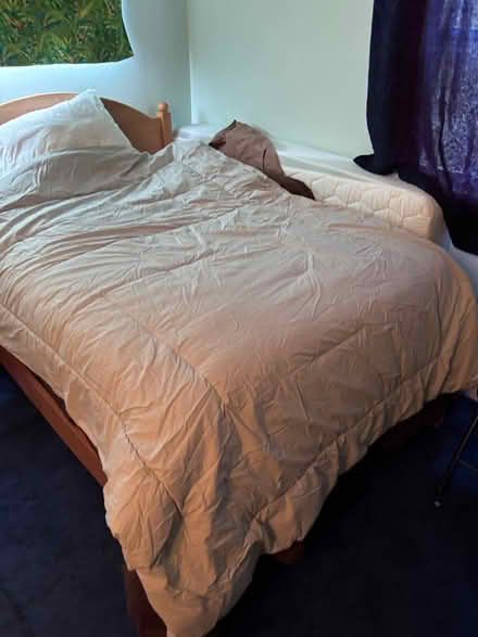 Photo of free Full size comforter (Broomall - Lawrence Park area) #3
